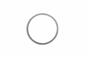 *O'RING, TEFLON #231